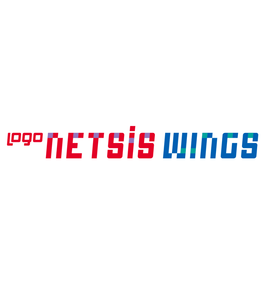 Logo Netsis Wings